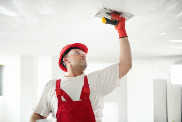 Best Drywall Removal and Disposal  in Winnsboro, LA